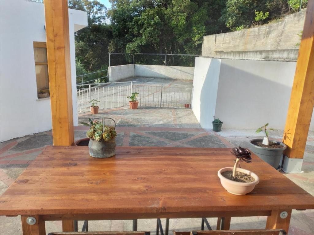 Camilla Holiday home