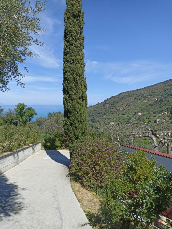 Appartamento Casa Delle Palme *