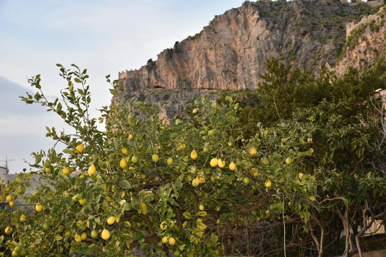 Il Mulino
