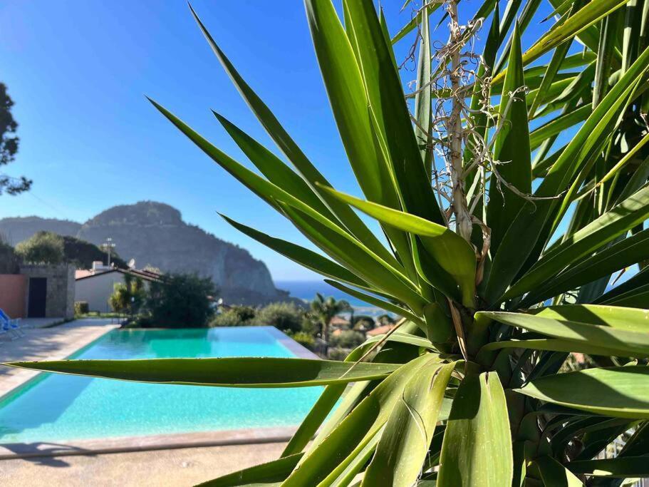Apartment Cefalhome - Magara