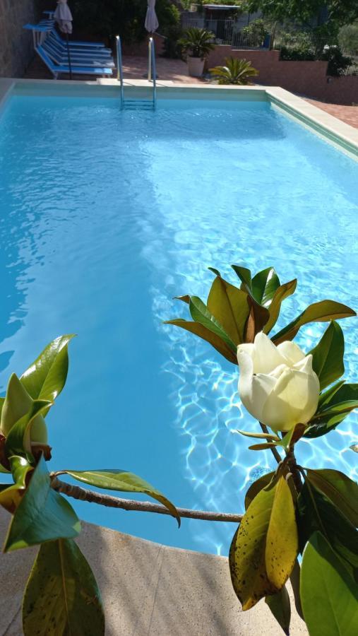 Villa Villa Verde *