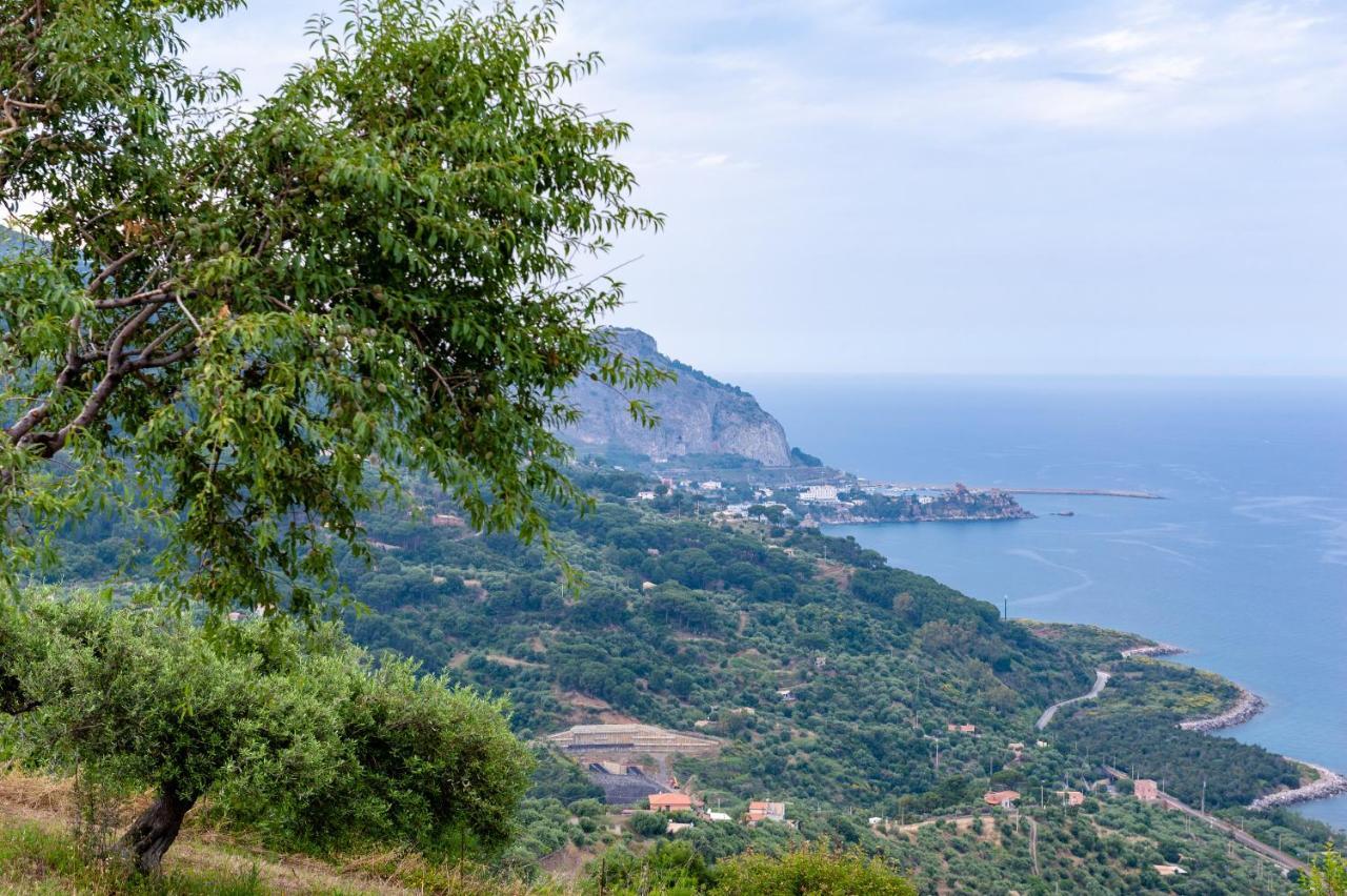 Orto Degli Ulivi Villa *