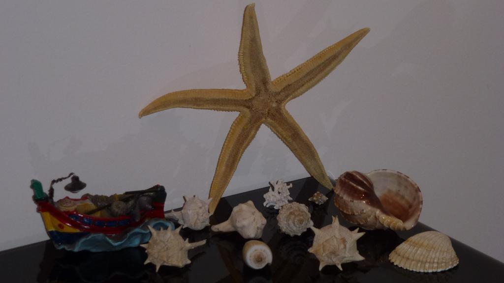 Sea Star Apartment Cefalu