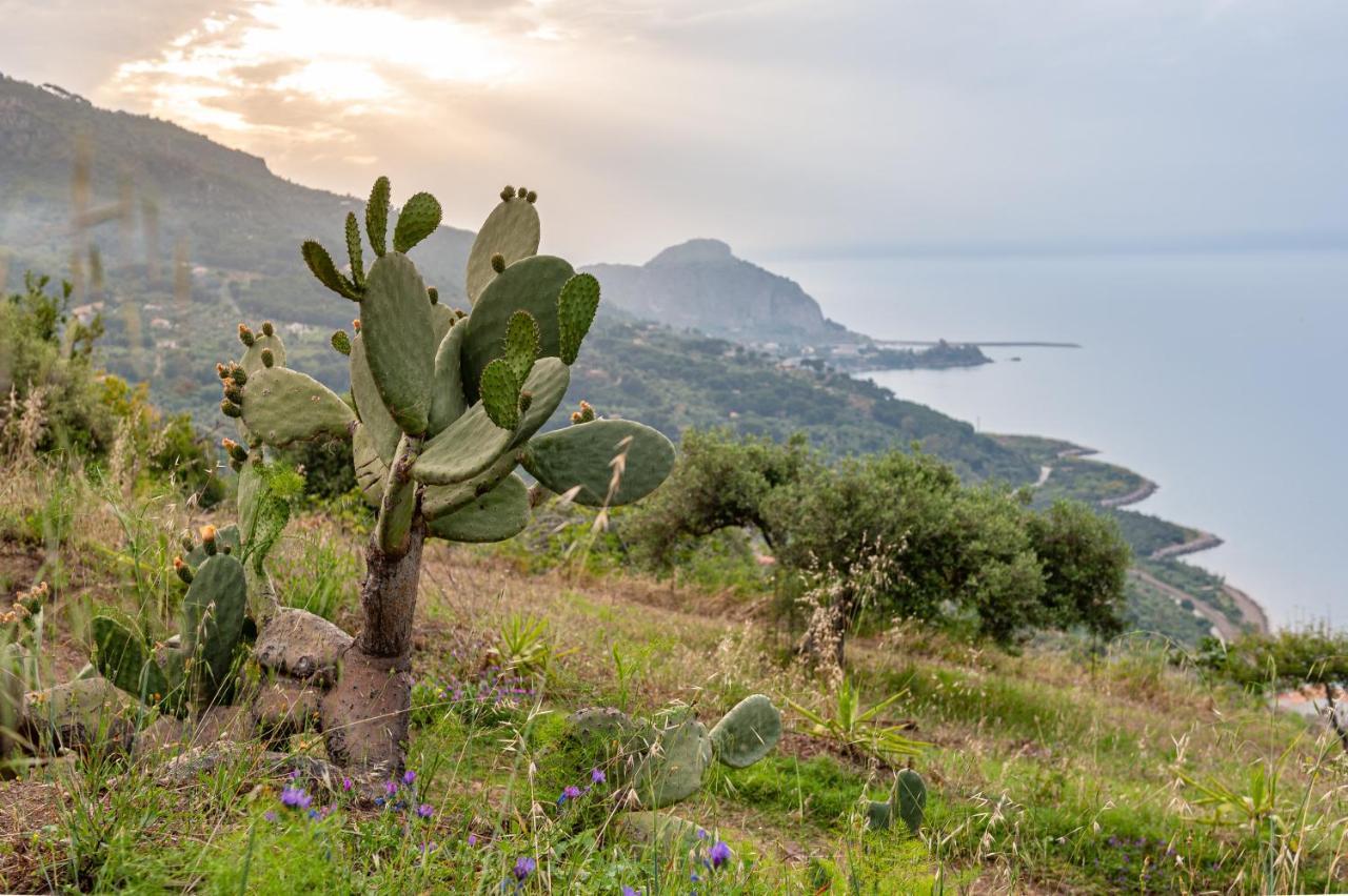 Orto Degli Ulivi Cefalu
