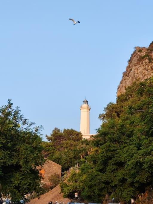 Apartment Scinniamare