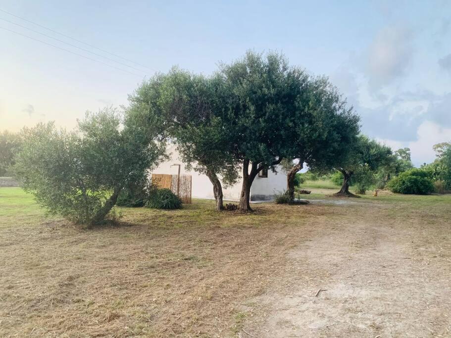 Contempora Casa12 Pa * Cefalù