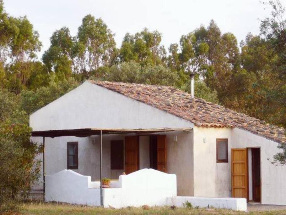 Contempora Casa12 Pa Apartment