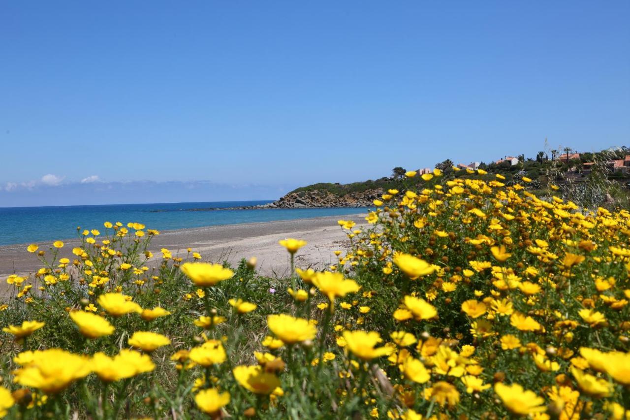 Beba * Cefalu