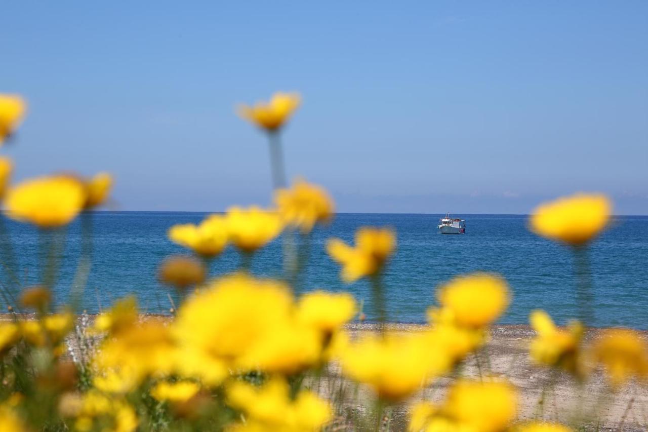 Beba * Cefalu