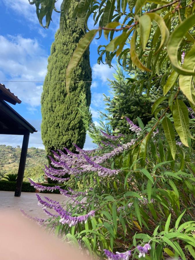 Al Presti, Vacanze In Pieno Relax Villa *