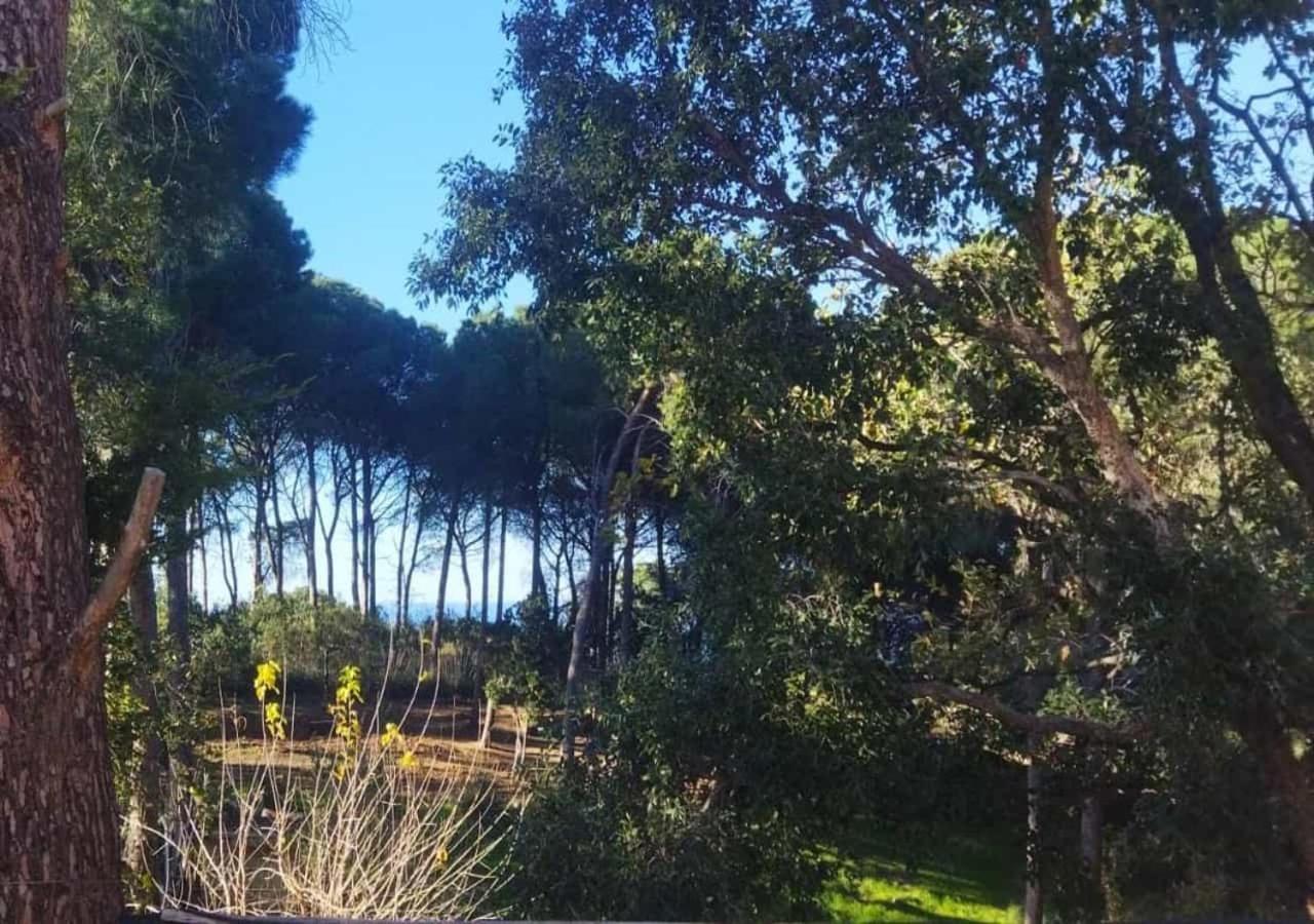 Villa Seawoods - Nature Experience Cefalù