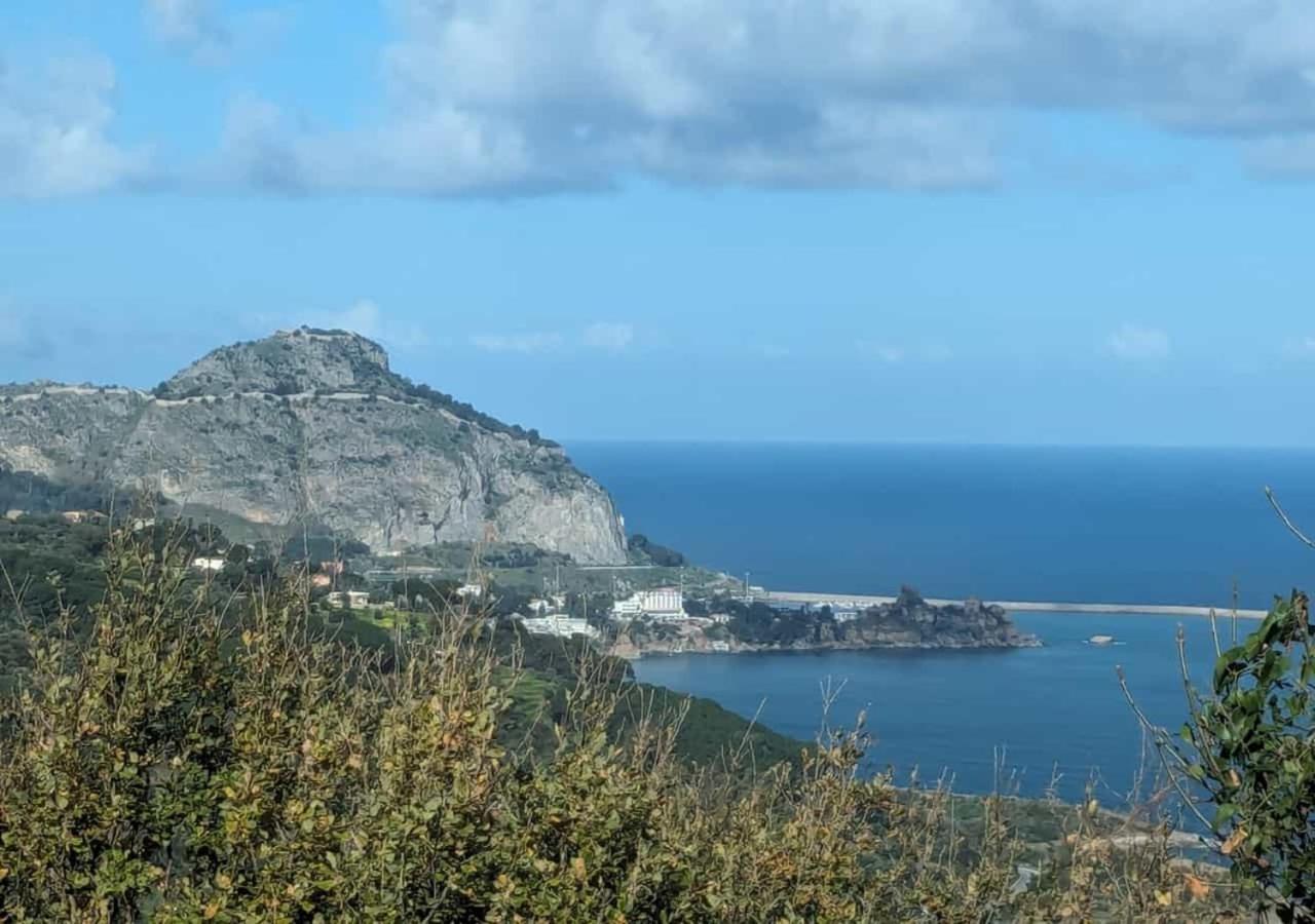 Villa Seawoods - Nature Experience