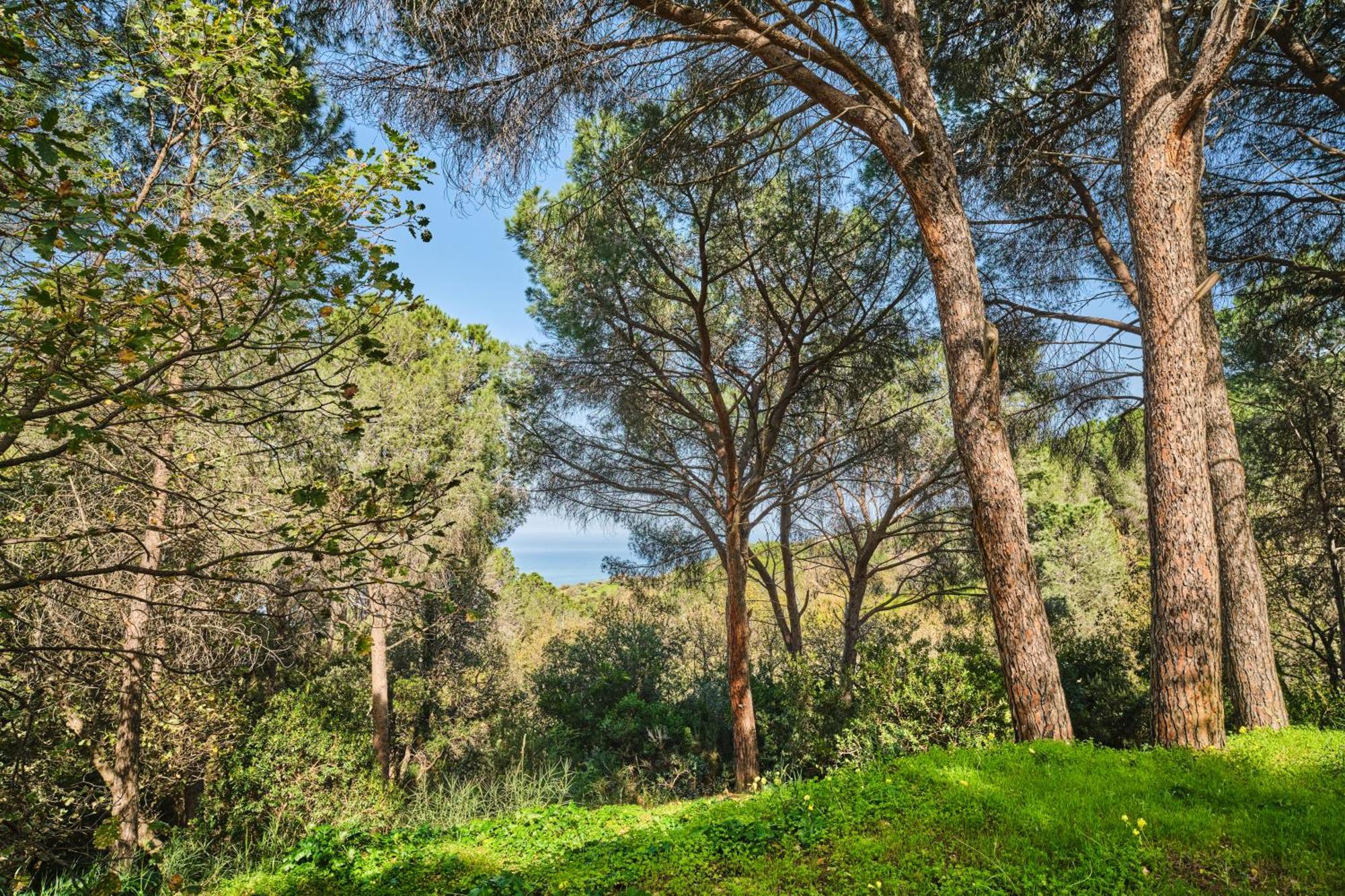 Villa Seawoods - Nature Experience Cefalù