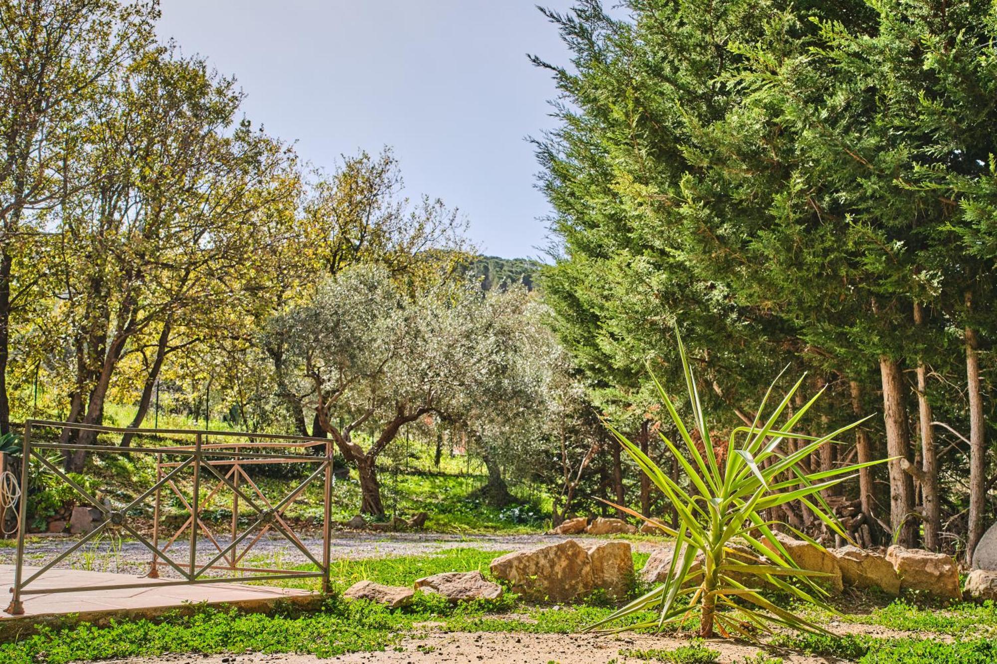Seawoods - Nature Experience * Cefalù
