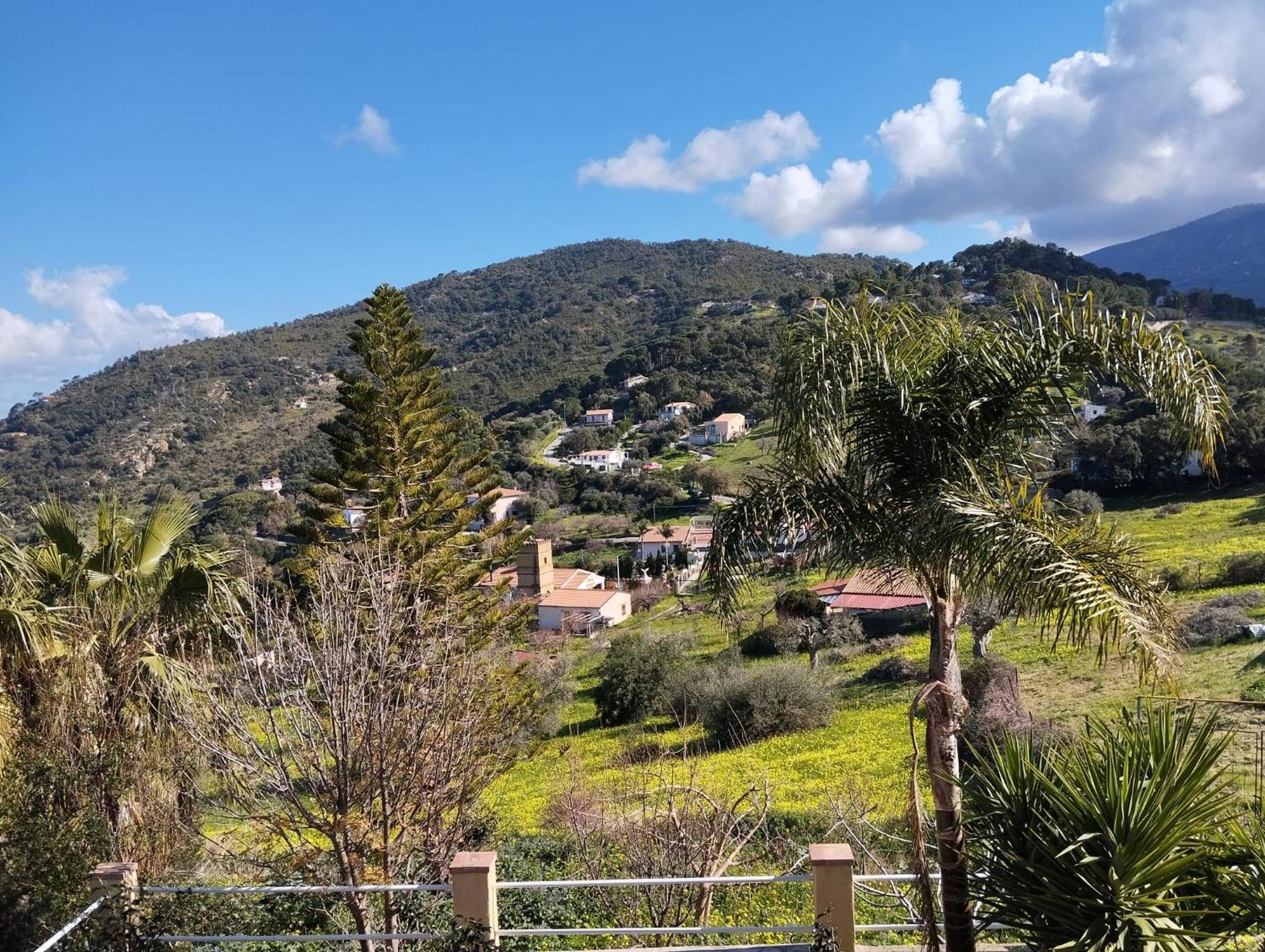 Appartamento Casa Delle Palme