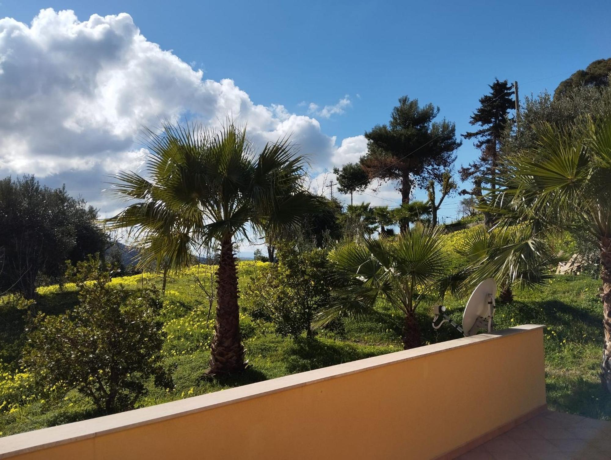 Casa Delle Palme Apartment