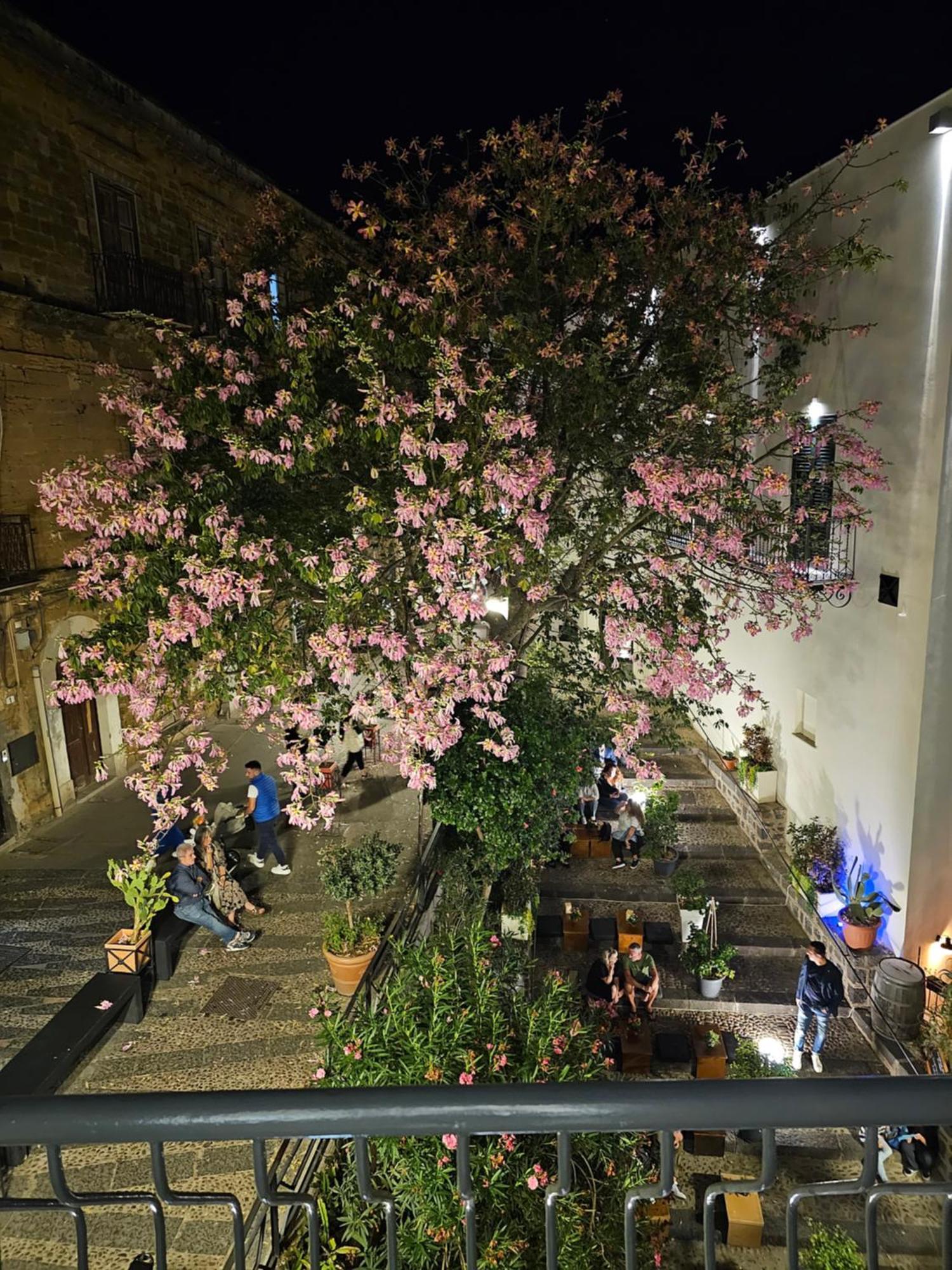 Apartment Di Giorgi Center Cefalu