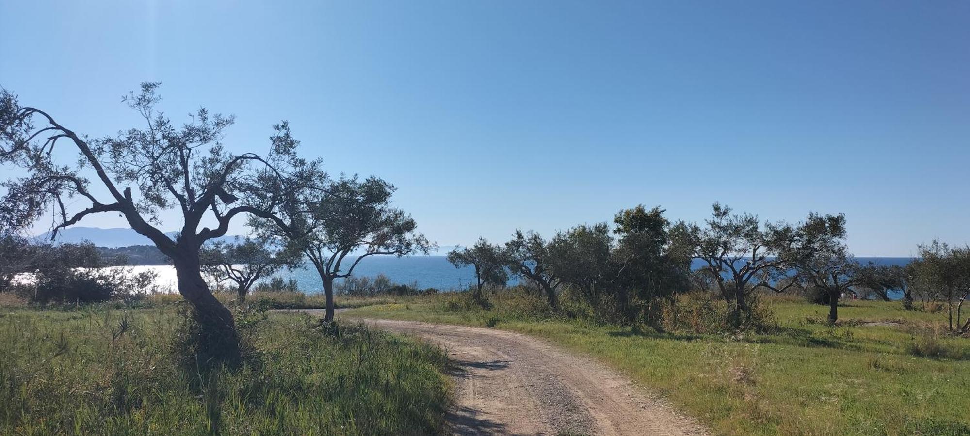 Marghe Mazzaforno Sicilia Holiday home *