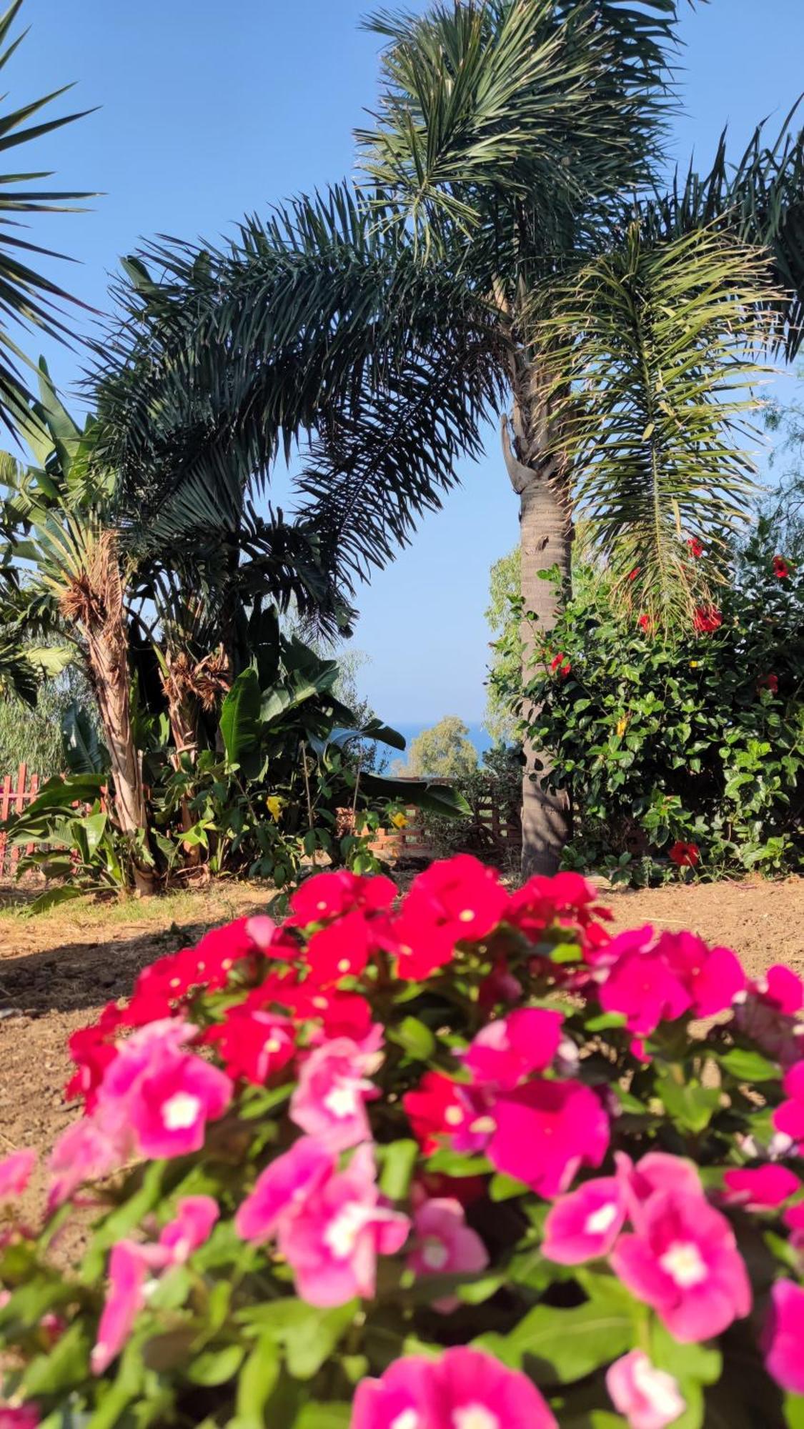 Casa Di Pino Holiday home Cefalu