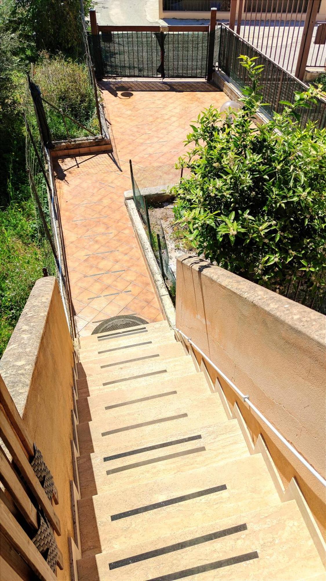 Casa Delle Camelie Apartment