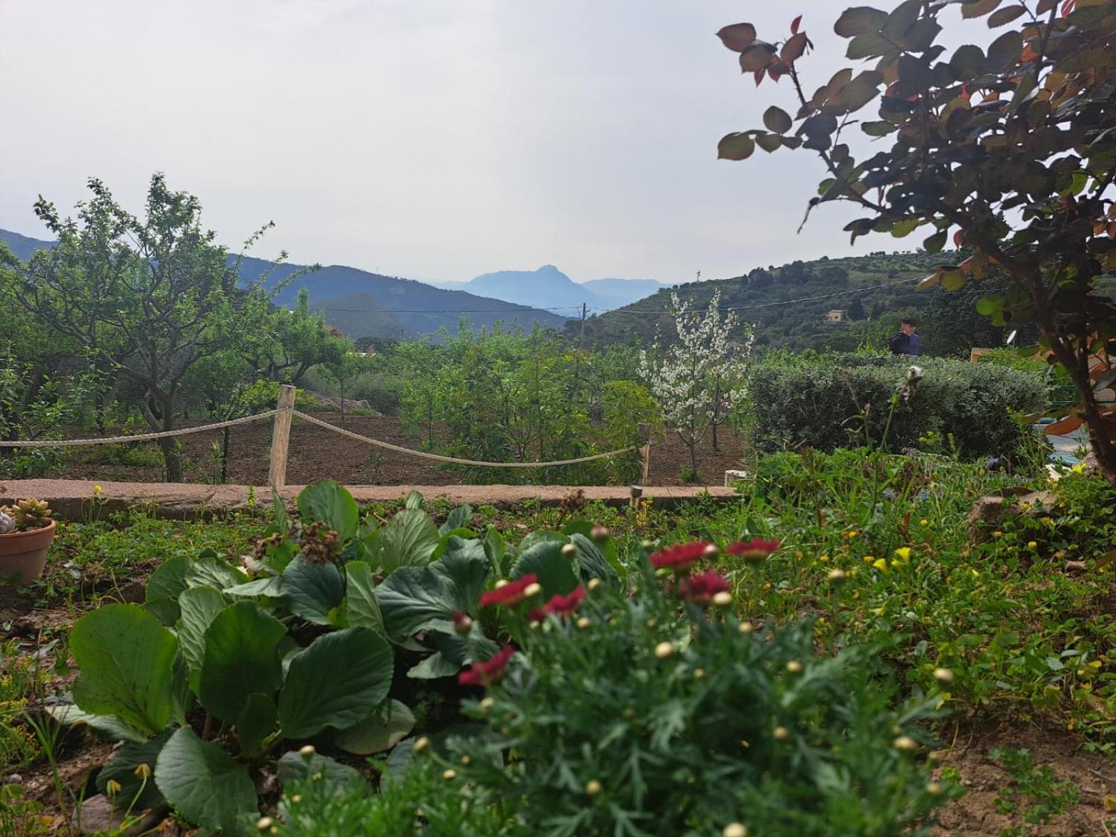 Ferienhaus D'anna *