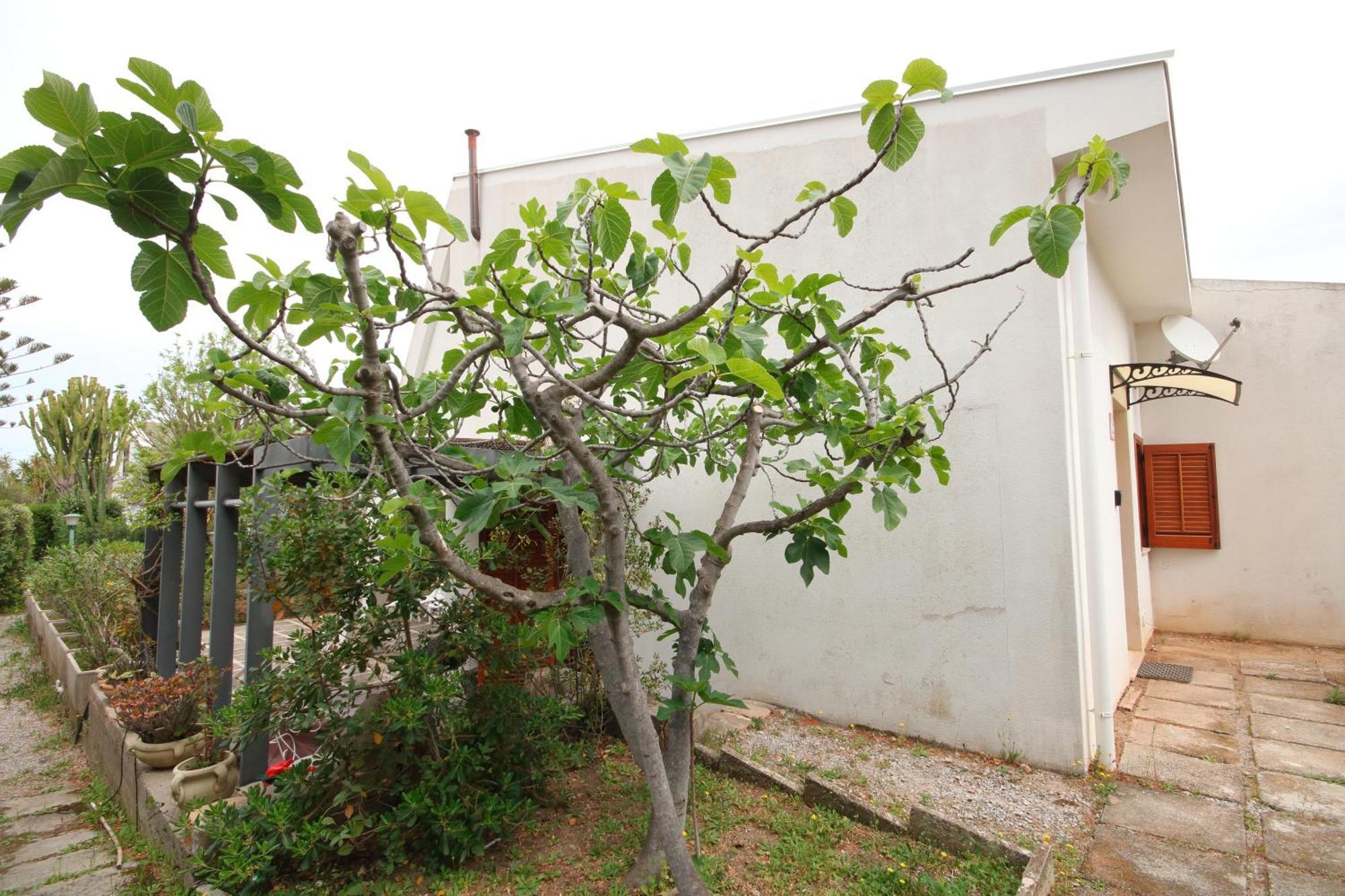 Casa Sciusca * Cefalu