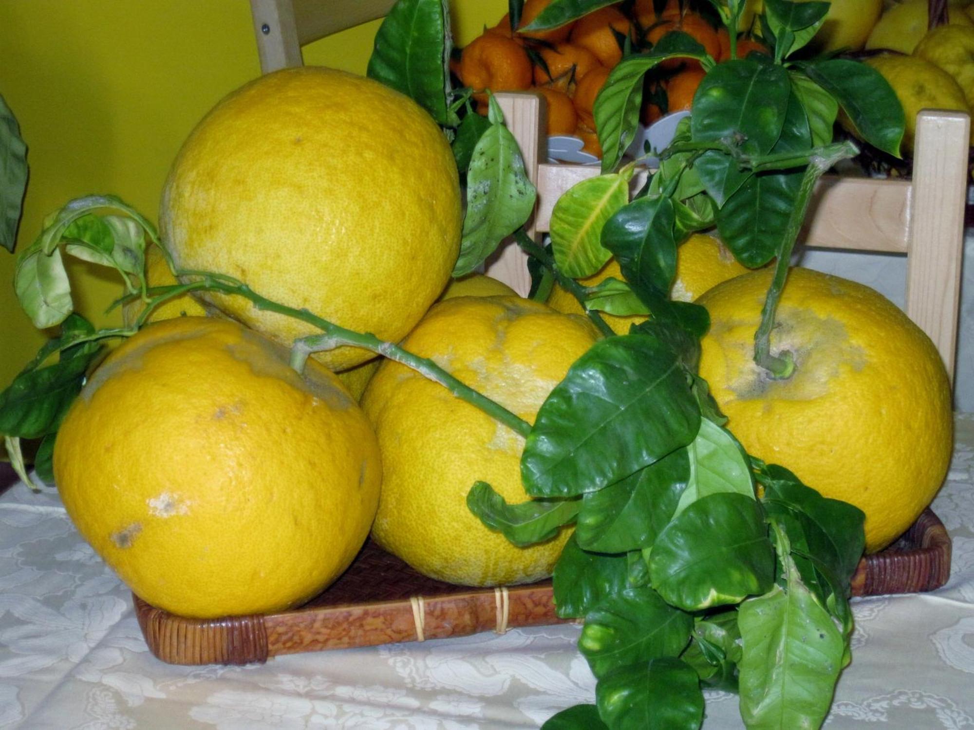 Frühstückspension Lirma Cefalù