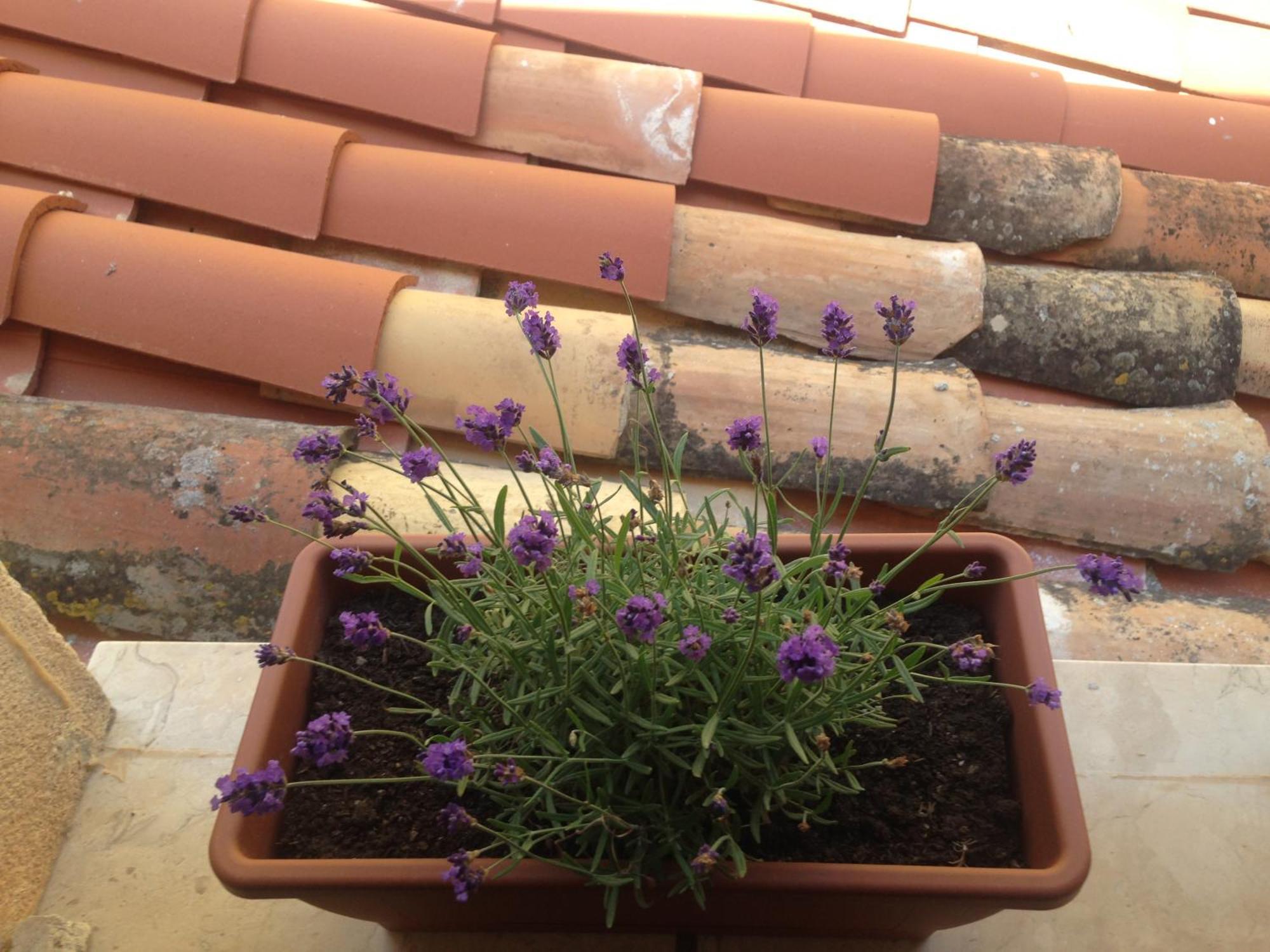 Holiday home Gerani House Cefalu