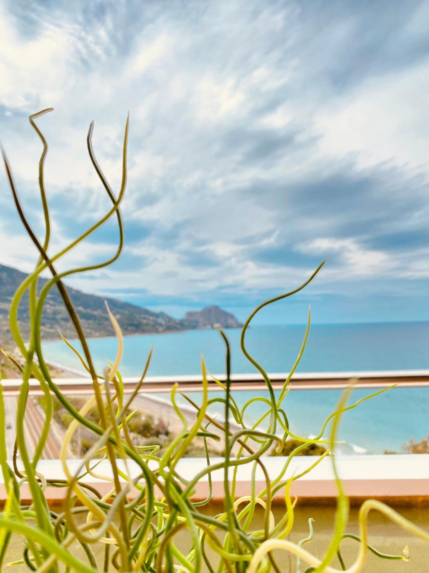 Seaside Oasis