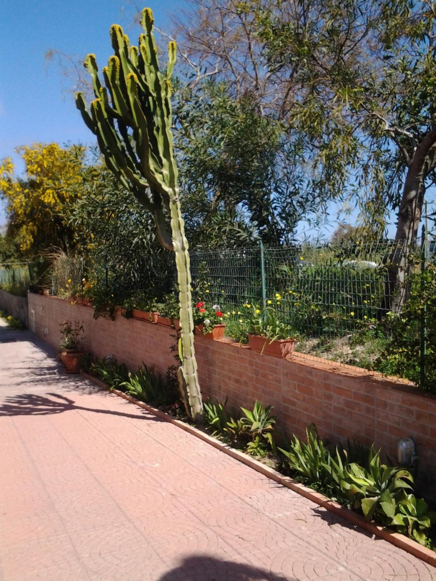 Fabiene Familyholidays Gelsomino Appartamento