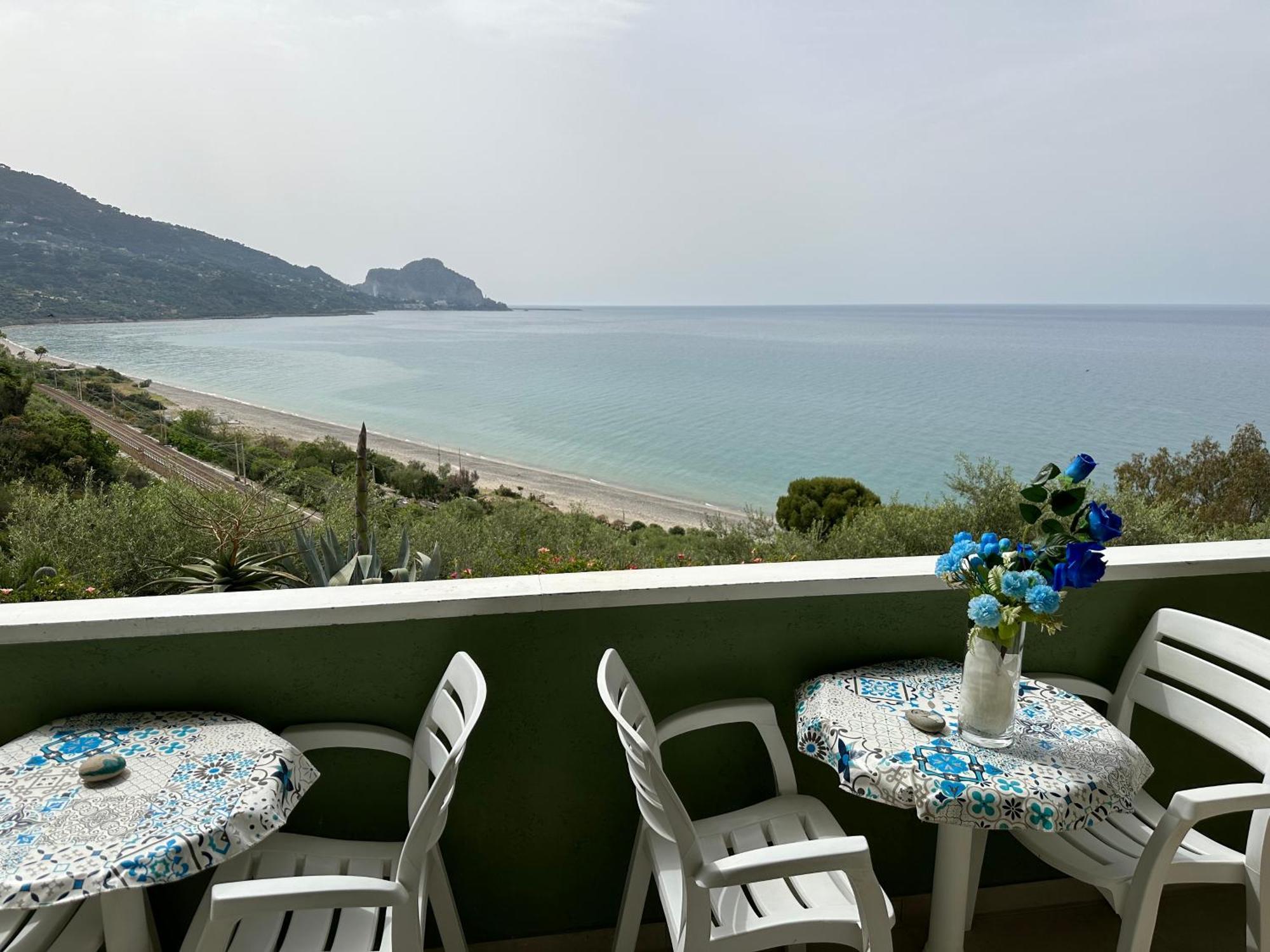 Ch Exclusive Cefalu