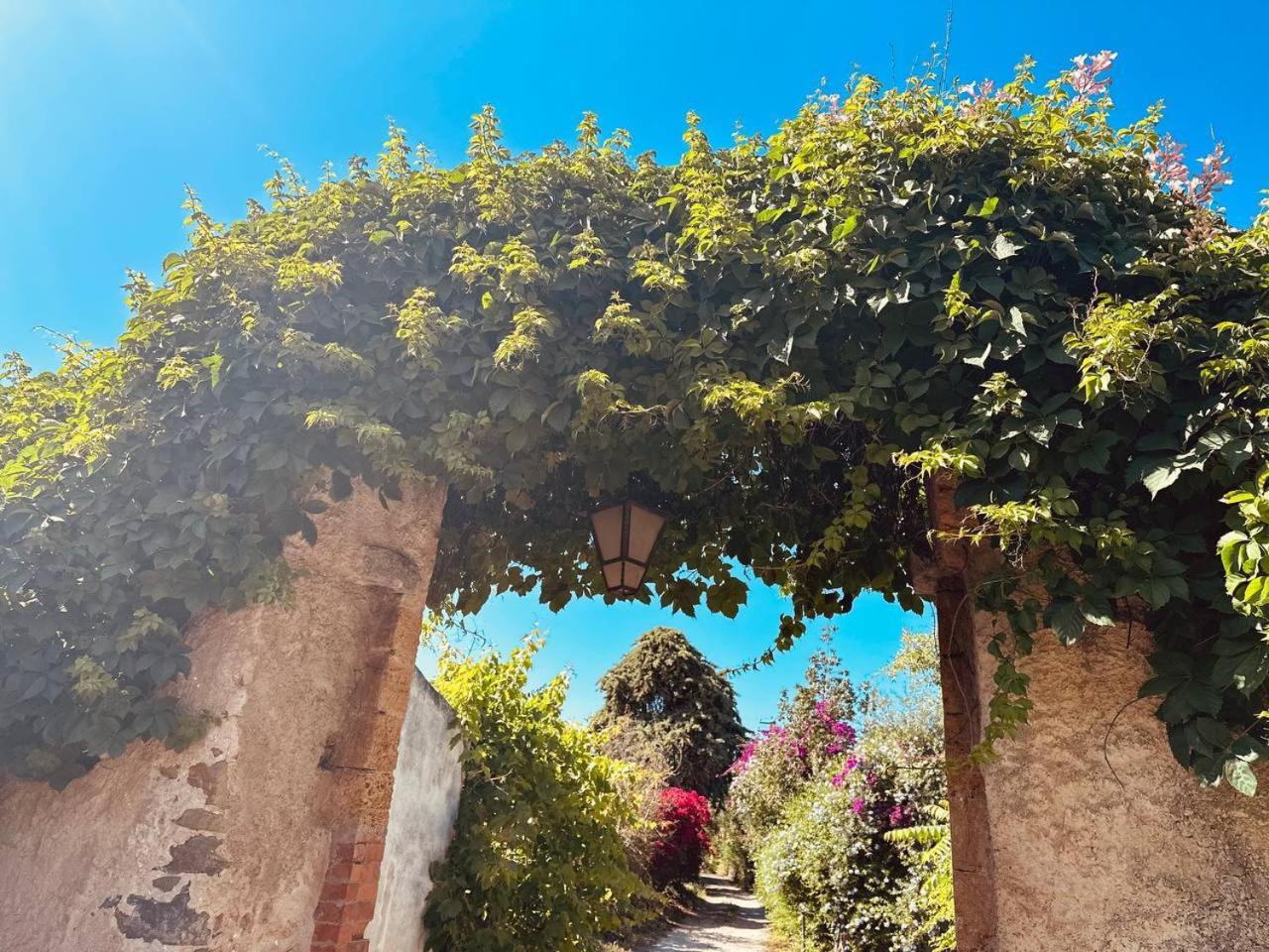 Tiche Guest house Cefalu