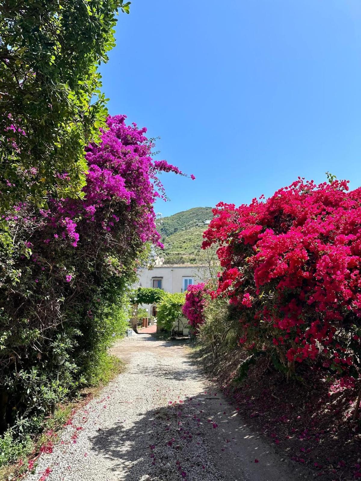 Tiche Guest house Cefalu