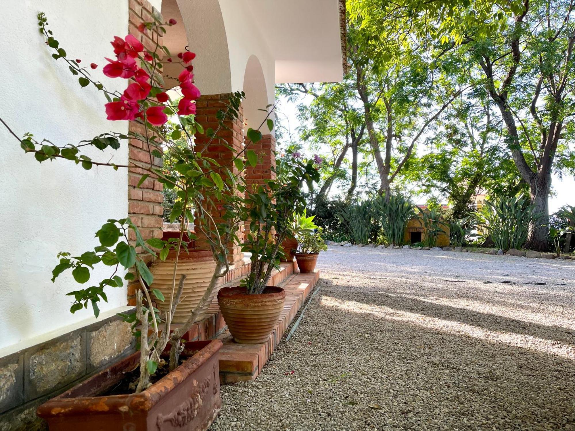 Ferienhaus Tana Pacenzia