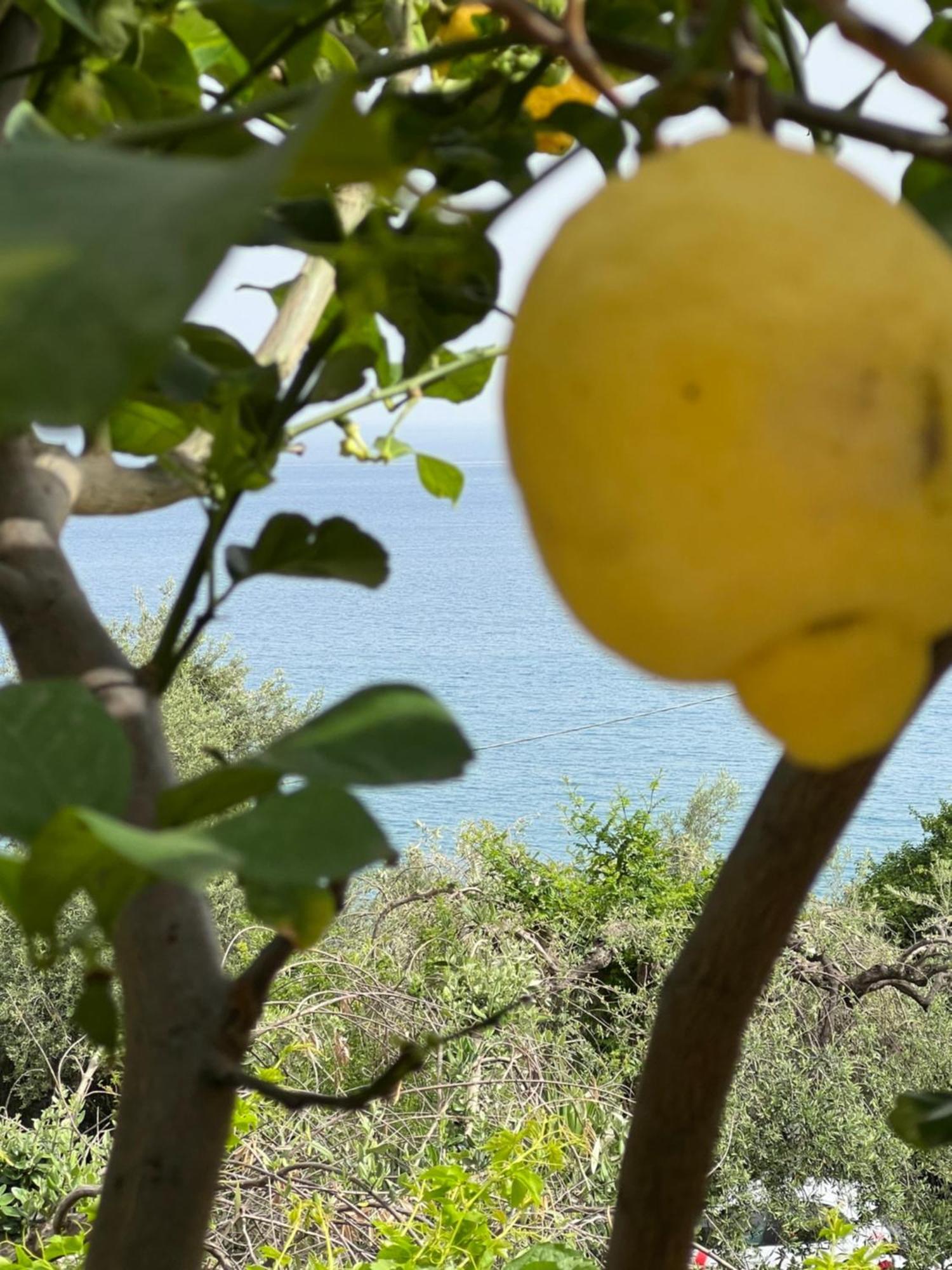 Casa vacanze La Casa Dei Ciocio *