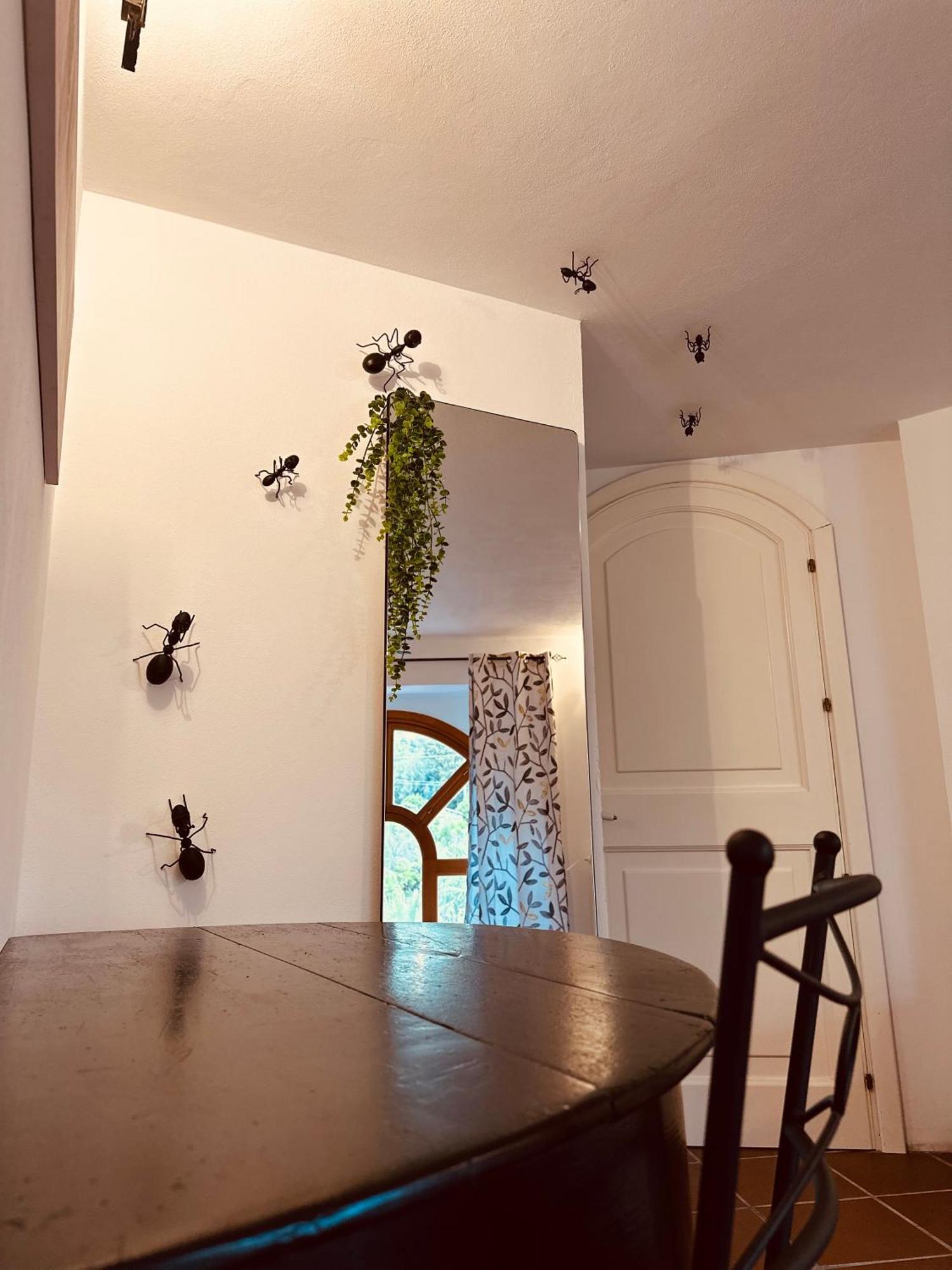Guest house Tiche *