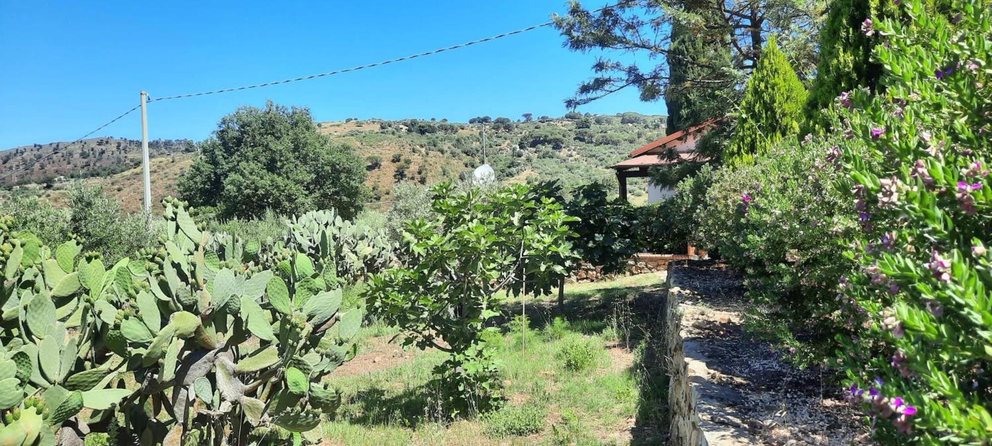 Al Presti, Vacanze In Pieno Relax * Cefalù