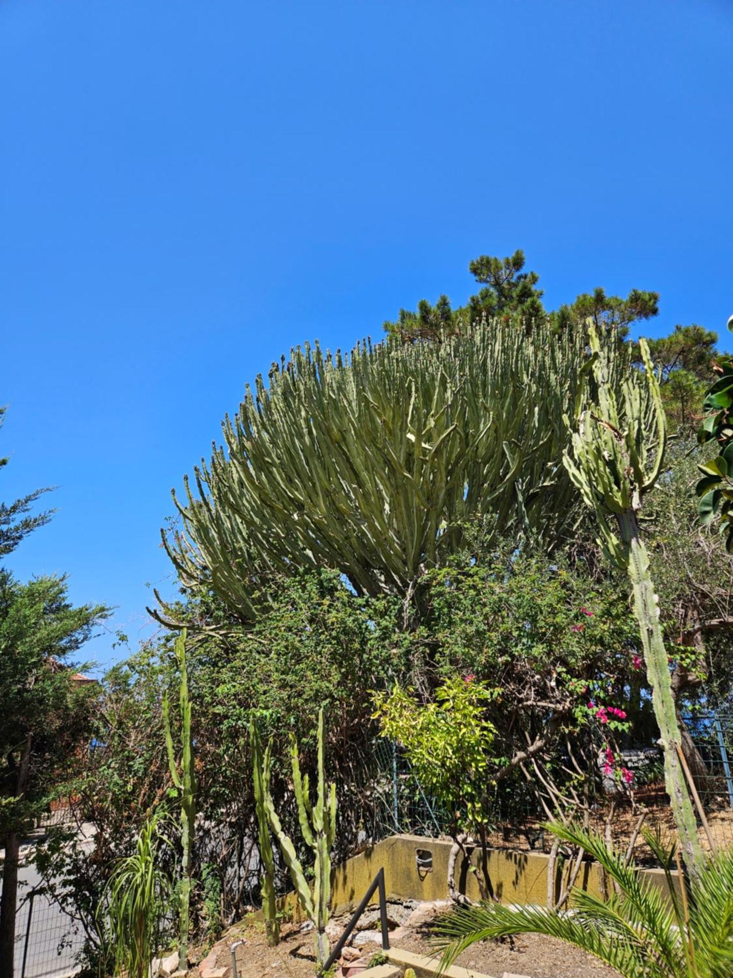 Belvedere Santa Lucia * Cefalù