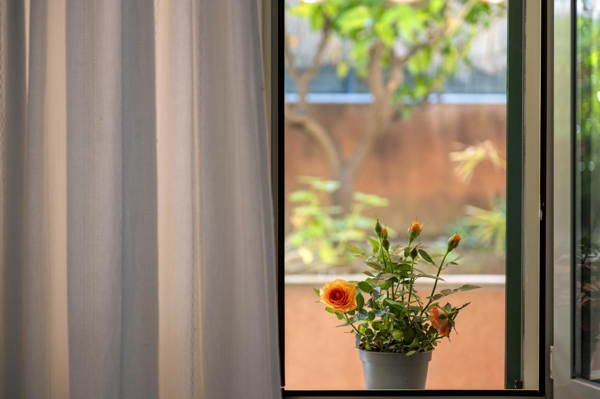 Apartment Paradiso Marino Cefalu