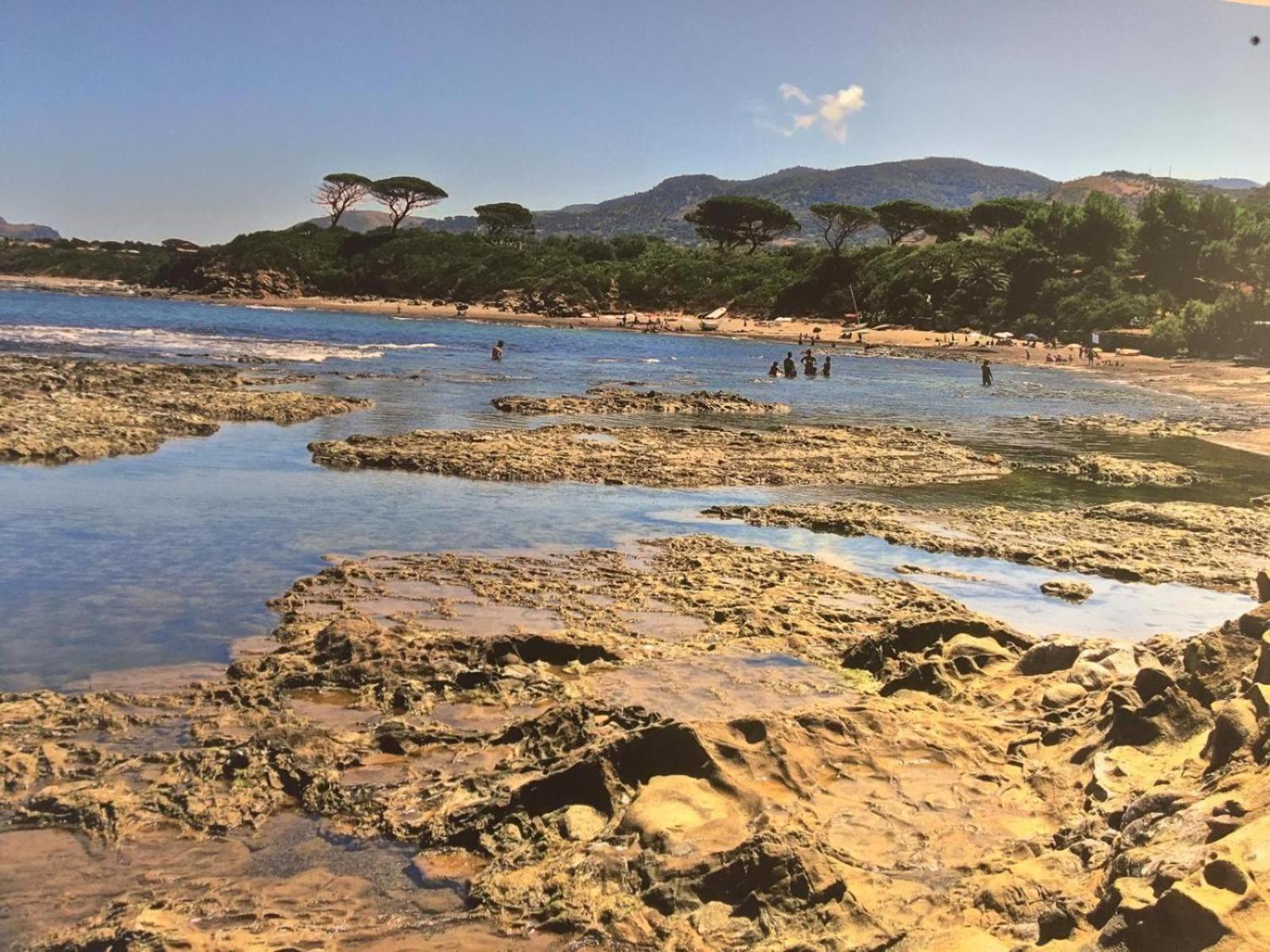 Le Terrazze Sul Mare - Capo Apartment