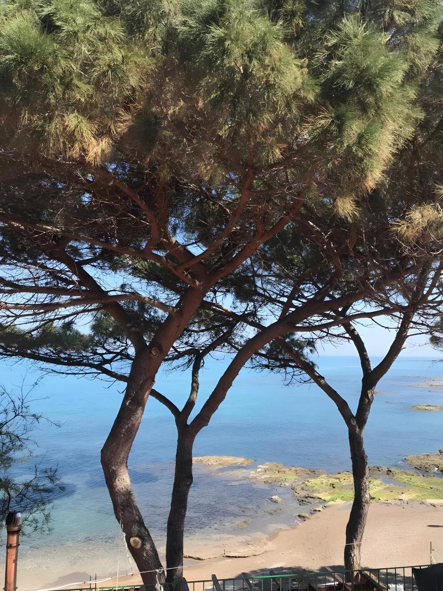 Le Terrazze Sul Mare - Capo * Cefalu