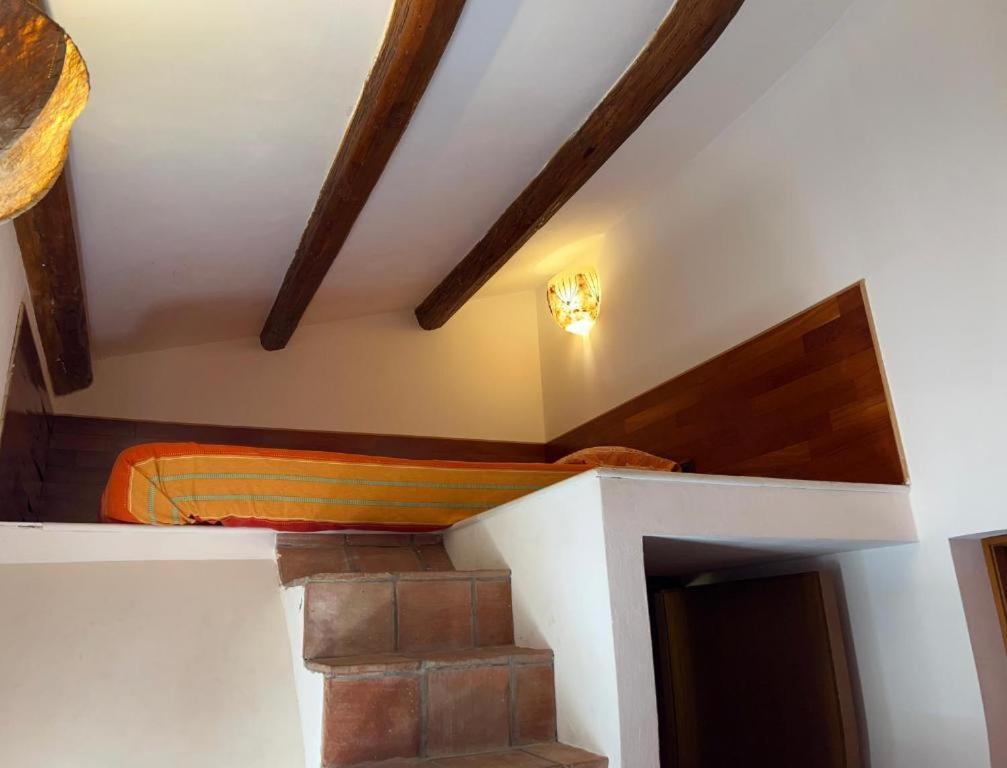 Apartment Domus Magistri
