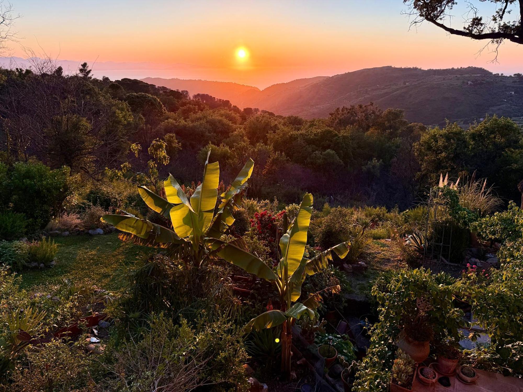 Forest Hideout Cefalu