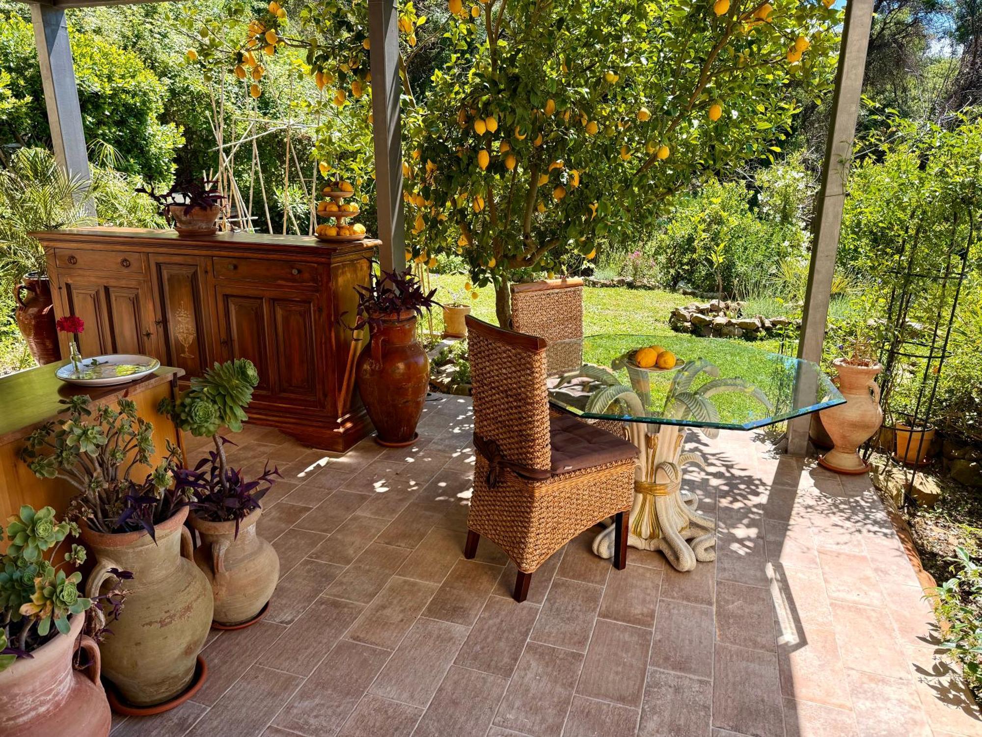 Forest Hideout Cefalu