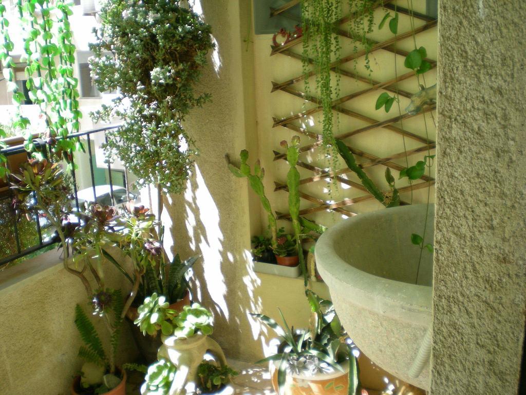 Orizzonte *