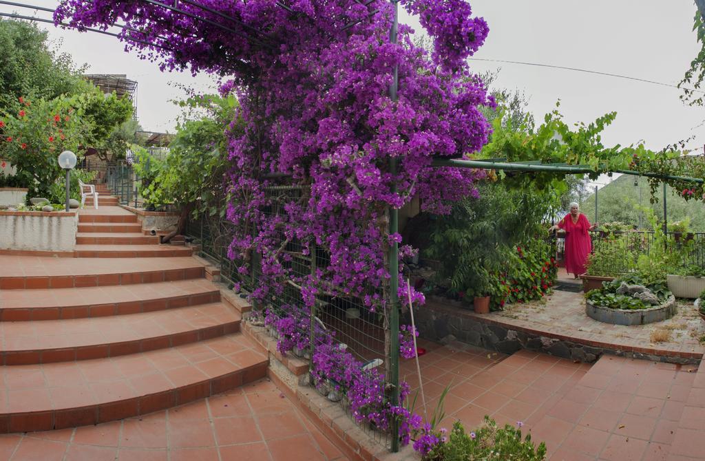 L' Arca Apartment Cefalu