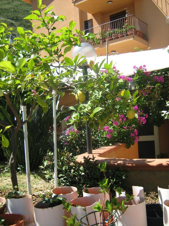 Terrazza Mimosa *