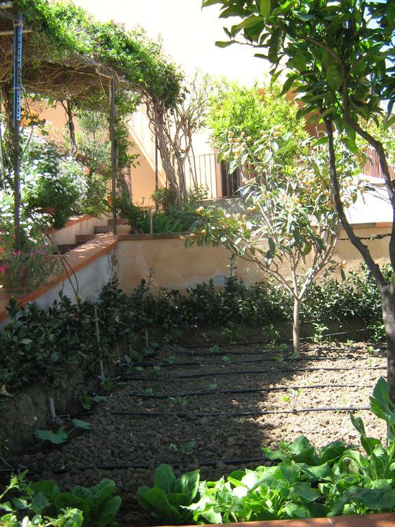 Apartamento Terrazza Mimosa *