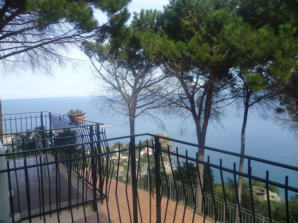Alba Tra I Pini
