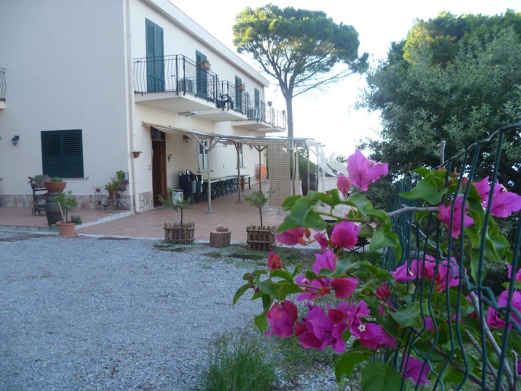 Alba Tra I Pini Cefalù